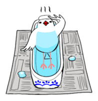 Java sparrow and gangs sticker #15498614