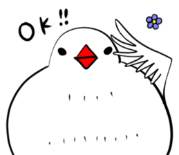Java sparrow and gangs sticker #15498615