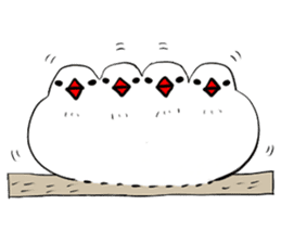 Java sparrow and gangs sticker #15498617