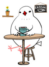 Java sparrow and gangs sticker #15498623