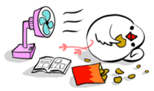 Java sparrow and gangs sticker #15498624