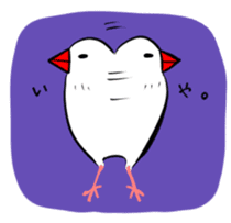 Java sparrow and gangs sticker #15498626