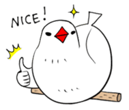 Java sparrow and gangs sticker #15498634