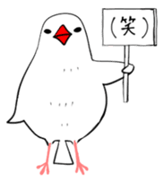 Java sparrow and gangs sticker #15498637