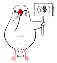 Java sparrow and gangs sticker #15498638