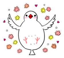 Java sparrow and gangs sticker #15498645