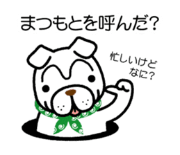 Matsumoto only sticker #15498754
