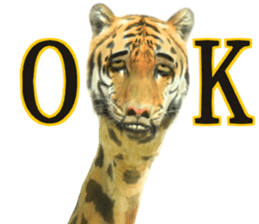 Chaos Animal Sticker2 sticker #15499714