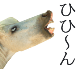 Chaos Animal Sticker2 sticker #15499715