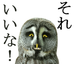 Chaos Animal Sticker2 sticker #15499718