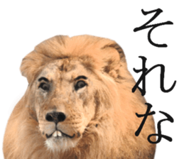 Chaos Animal Sticker2 sticker #15499720