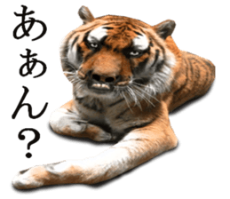 Chaos Animal Sticker2 sticker #15499722