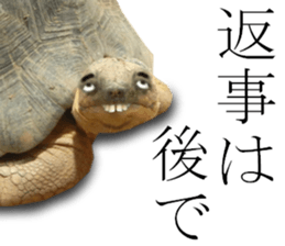 Chaos Animal Sticker2 sticker #15499727