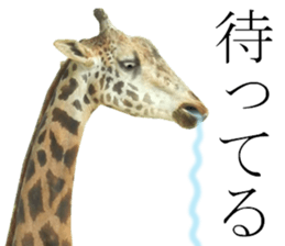 Chaos Animal Sticker2 sticker #15499730