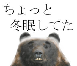 Chaos Animal Sticker2 sticker #15499732