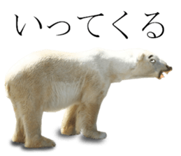 Chaos Animal Sticker2 sticker #15499737