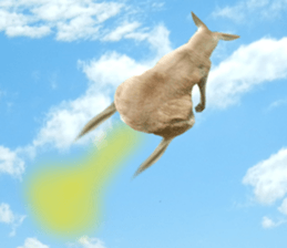 Chaos Animal Sticker2 sticker #15499739