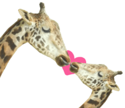 Chaos Animal Sticker2 sticker #15499743