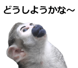 Chaos Animal Sticker2 sticker #15499748