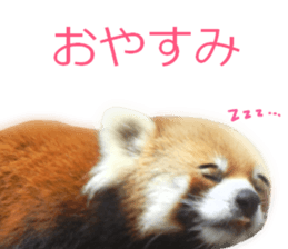 Chaos Animal Sticker2 sticker #15499752