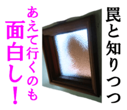 The TAIYAKI sticker #15500141