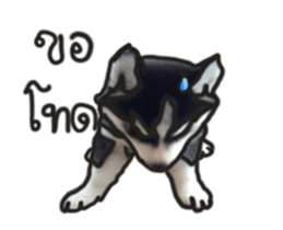 Husky Puppy Ava sticker #15500325
