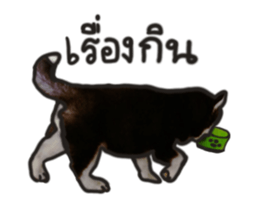 Husky Puppy Ava sticker #15500327