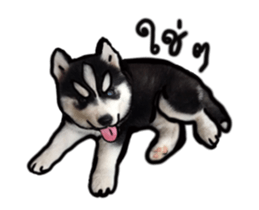 Husky Puppy Ava sticker #15500329