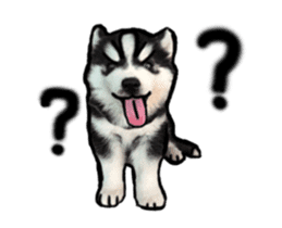 Husky Puppy Ava sticker #15500334