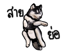 Husky Puppy Ava sticker #15500335