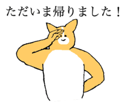 Corgi's name is Ryoko sticker #15500589