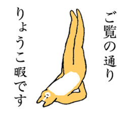 Corgi's name is Ryoko sticker #15500598