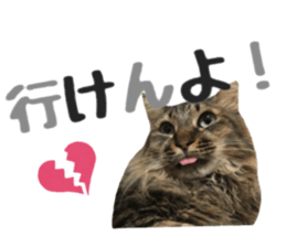cat of cure Hakata dialect sticker #15501955