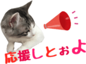 cat of cure Hakata dialect sticker #15501968