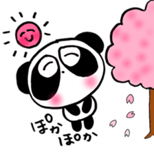 Pretty PANDA P-chan SPRING sticker #15504112