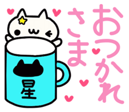 Hoshi's name sticker sticker #15505028