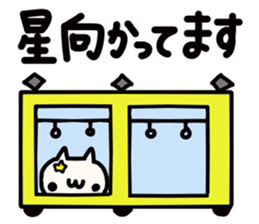 Hoshi's name sticker sticker #15505031