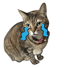 Mimier's Daily sticker #15505523