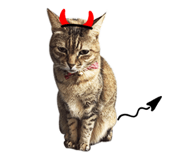 Mimier's Daily sticker #15505524