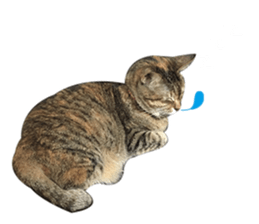 Mimier's Daily sticker #15505525