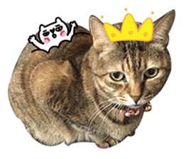 Mimier's Daily sticker #15505526