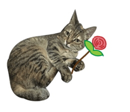 Mimier's Daily sticker #15505527