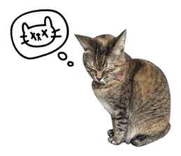 Mimier's Daily sticker #15505528