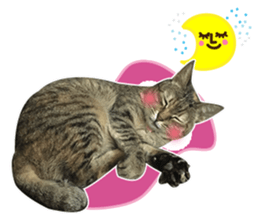 Mimier's Daily sticker #15505529