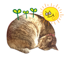 Mimier's Daily sticker #15505530