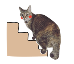 Mimier's Daily sticker #15505532