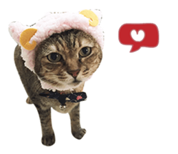 Mimier's Daily sticker #15505535