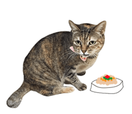 Mimier's Daily sticker #15505536