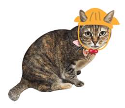 Mimier's Daily sticker #15505537
