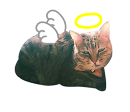 Mimier's Daily sticker #15505539
